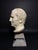 Head of Marcus Tullius Cicero, Late 18th Century, Marble For Sale - Image 10 of 18