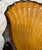 Vintage Majolica Coastal Scallop Shell Centerpiece Bowl With Figural Fish Feet For Sale - Image 4 of 10