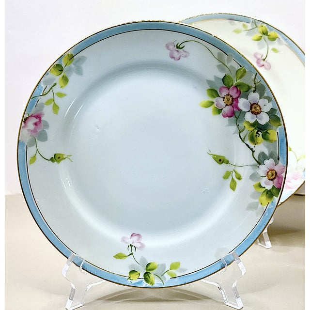 Pink Vintage Floral Hand‑Painted Wall Plate Collection / Grouping - Set of 7 For Sale - Image 8 of 12