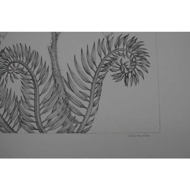 Gochka Charewicz, Fleur en courbes, Lithograph For Sale - Image 7 of 8