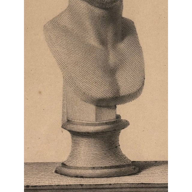 Antique 18th Century Italian Grand Tour Copperplate Engraving of Roman Bust, Attributed to Domenico Campiglia For Sale In Little Rock - Image 6 of 16