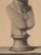 Antique 18th Century Italian Grand Tour Copperplate Engraving of Roman Bust, Attributed to Domenico Campiglia For Sale In Little Rock - Image 6 of 16