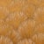 Sample - Schumacher Fondale Fabric in Gold For Sale
