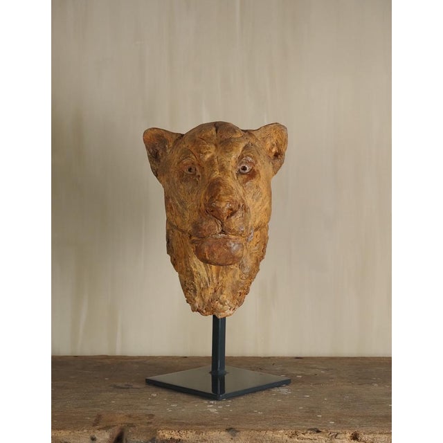 Carine Laeveren, Lion Head Sculpture, 2000s, Plaster For Sale - Image 4 of 18