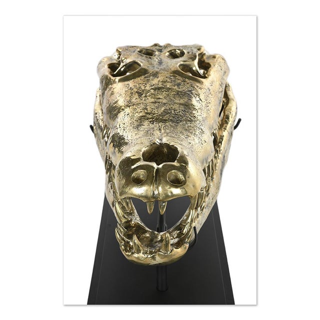 Brass Crocodile Skull For Sale - Image 6 of 9