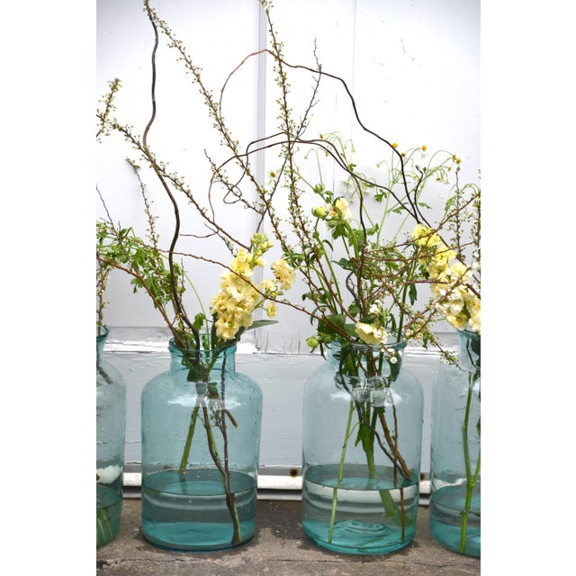 These beauties started life in a French pantry, storing summer's harvest behind thick aqua glass.Today they make the most...