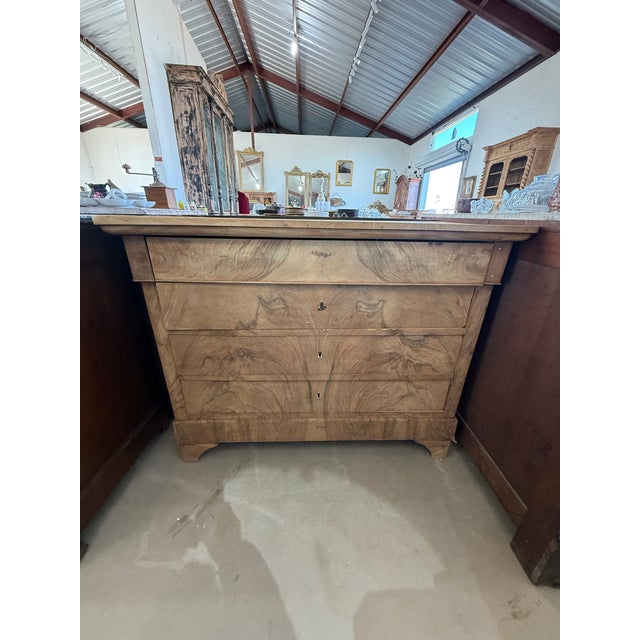 Wood 19th Century French Louis Philippe Burl Walnut Bleached Chest of Drawer / Commode For Sale - Image 7 of 12