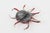 Black Vintage Coastal Murano Seguso Glass Octopus Sculpture With Silver Foil, 1980's For Sale - Image 8 of 11