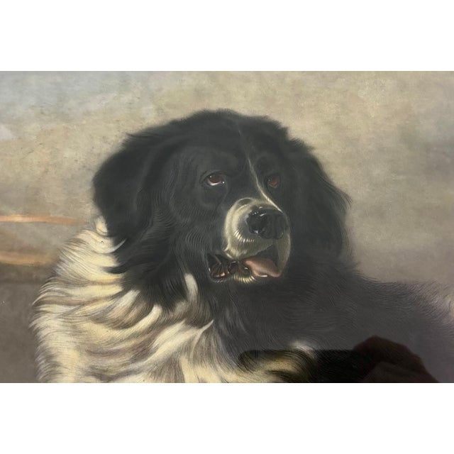 English Vintage 1990's Sir Edwin Landseer Dog Engraving Reproduction, Large Burlwood Frame For Sale - Image 3 of 10