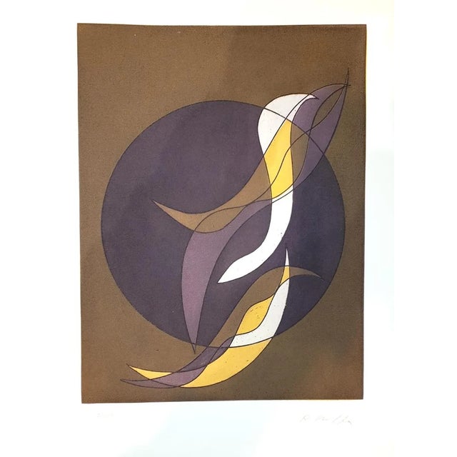 Plate VI from Suns/Landscapes - Original Etching by R. Crippa - 1971/72 1971/72 For Sale