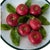 A masterful example of contemporary French ceramics, this 5-inch trompe l’oeil plate is hand-crafted by the celebrated...