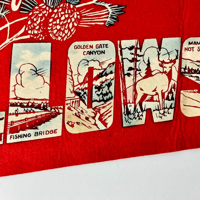 1950s Vintage Americana Boho Chic Rustic Yellowstone Felt Pennant. For Sale - Image 11 of 12