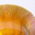 This stunning Art Nouveau iridescent Favrile glass bowl, signed L.C. Tiffany & Co. #1925, circa 1900, is a captivating...