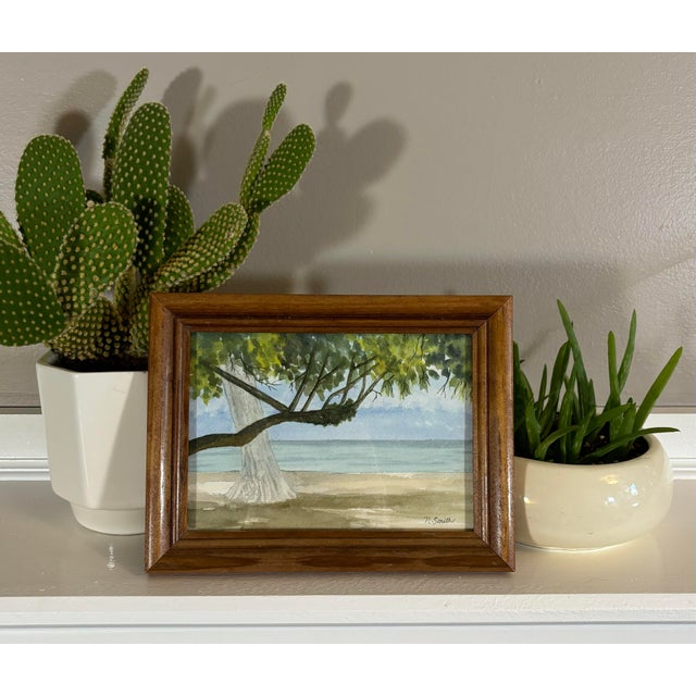 A cool, shady spot on the beach along the ocean. Enjoy this ocean view under the dense leaves of this Caribbean tree....