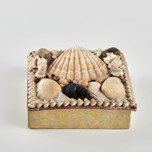 Antique Seashell Box For Sale - Image 4 of 7