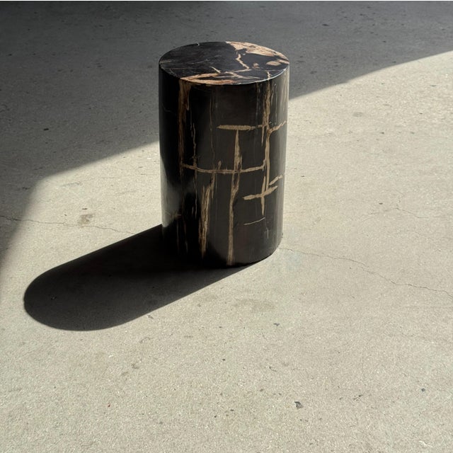Black Side Table in Black Petrified Wood with Beige Stripes and Sides For Sale - Image 8 of 18