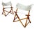 Praia Folding Chairs by Pier Giacomo Castiglioni for Gavina, 1960s, Set of 2 For Sale