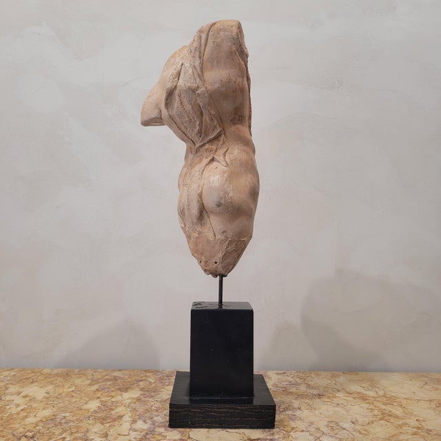 1960s Classical Plaster Torso, 1960s, Plaster For Sale - Image 5 of 11