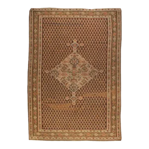 Earl 20th Century Senneh Kilim Rug