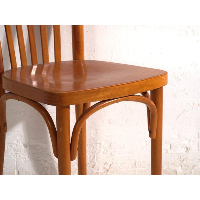 Chairs in Ligna Bentwood, Former Czechoslovakia, 1960, Set of 4 For Sale - Image 11 of 12
