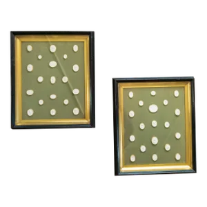 19th Century Framed Set of Italian Grand Tour Intaglios in Shadow Boxes