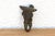 18th Century Scalloped Crest Antique Bronze Hook For Sale - Image 5 of 6