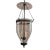 Antique 19th Century English Regency Bell Jar Blown Glass Hall Lantern With Smoke Shade Now Electrified For Sale