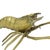 Gold Vintage Brass Shrimp Scampi Figurine, 1960s For Sale - Image 8 of 11