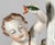 Carl Thieme Dresden Porcelain Figural Putto Candlestick For Sale - Image 9 of 18