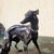 Metal P J Mêne, Greyhound and King Charles Spaniel, Bronze, 19th Century For Sale - Image 7 of 14