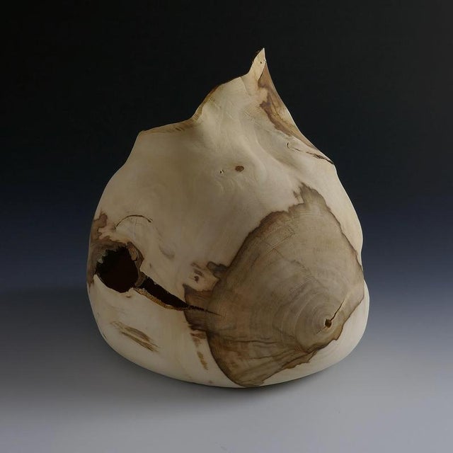 Languid#2 Vase in Fig Tree Wood by Yann Marot Dimensions: D 29 x W 22 x H 26 cm Materials: Fig tree