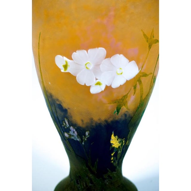 Blue Art Nouveau Cameo Vase with Primroses Decor from Daum Nancy, France, 1920 For Sale - Image 8 of 12