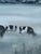 Modernist 'Friesians in the Mist' Vintage Original Landscape Oil Painting, Framed For Sale - Image 10 of 13