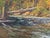 Jerry Greenberg "Arkansas River Ozarks" Contemporary Realistic Forested Landscape Painting, 1995 For Sale - Image 11 of 12