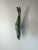 Wood Coastal Sculpted Wood Hand Painted Tropical Fish Figurine For Sale - Image 7 of 12