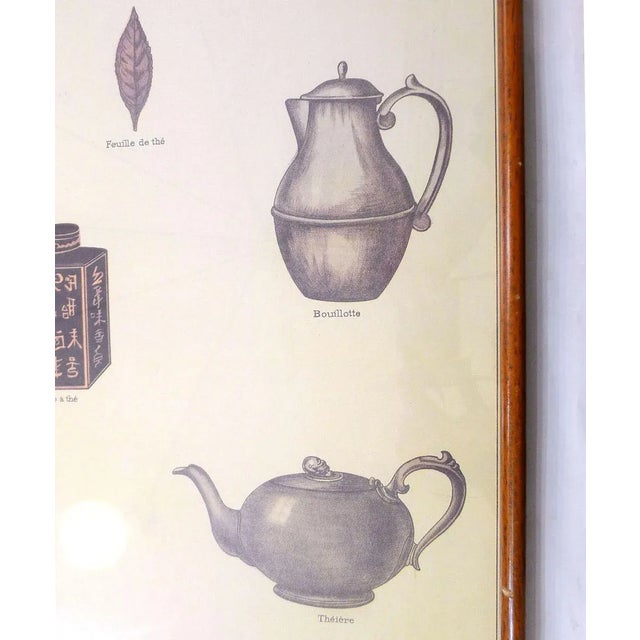 Mid-Century French Educational Poster on Tea For Sale - Image 6 of 10