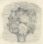 Giorgio Morandi, Zinnias in a Vase, 1957, Lithograph For Sale - Image 3 of 9