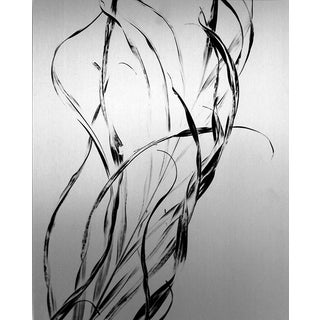 "Palm Frond," Black & White Photograph by C. Plaza For Sale