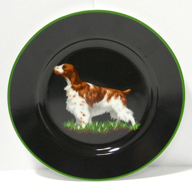Traditional Tiffany & Co. Springer Spaniel Dog Decorative Plate For Sale - Image 3 of 3