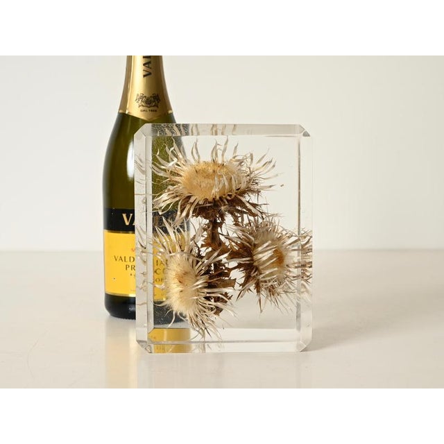 Acrylic Glass Paperweight with Encased Flowers by Pierre Giraudon, France, 1970s For Sale - Image 4 of 14
