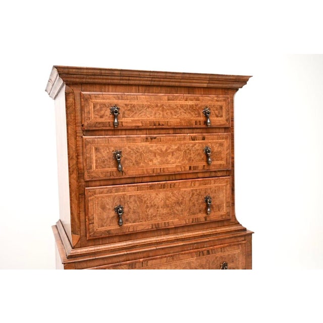 Wood Antique Burr Walnut Chest on Chest of Drawers, 1890 For Sale - Image 7 of 10