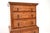 Wood Antique Burr Walnut Chest on Chest of Drawers, 1890 For Sale - Image 7 of 10