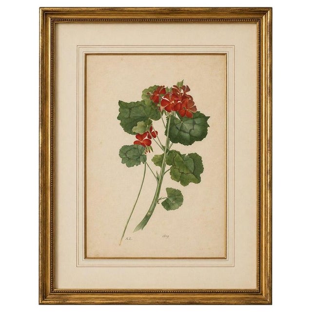 A.L., Two Stems with Red Flowers, 1819, Watercolor For Sale - Image 11 of 11