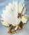 Late 19th Century Moore Bros Porcelain Cactutus Flower Vases, Set of 4 For Sale - Image 4 of 13