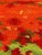 Modern Aubusson Tapestry by Artdad, 1980s For Sale - Image 16 of 18
