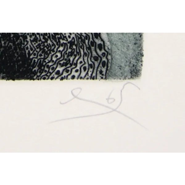 This aquatint etching, titled Shah Mat Suite - Lady MacBeth, was created by the American artist, Tighe O'Donoghue, in...