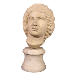 Italian Artist, Marble Head, 1660, Marble For Sale