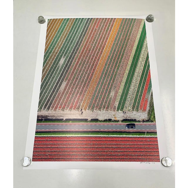 Contemporary "AV_Tulip_Fields_010" Contemporary Aerial View Limited Edition Photograph by Bernhard Lang For Sale - Image 3 of 9