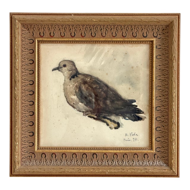 Original 1911 French Belle Epoque Watercolor Painting of a Dove, Signed A. Vida For Sale