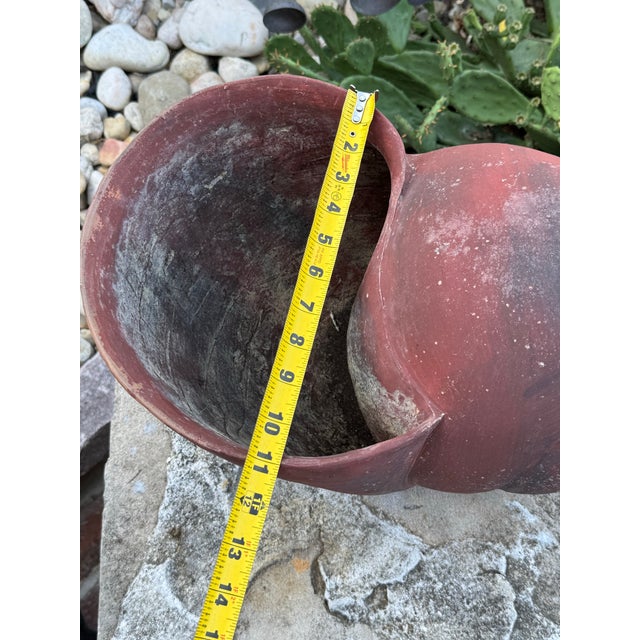 1920s French Terracotta Conch Seashell Planter For Sale - Image 5 of 9